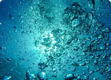 What Is "Water Memory"? Everything You Need to Know